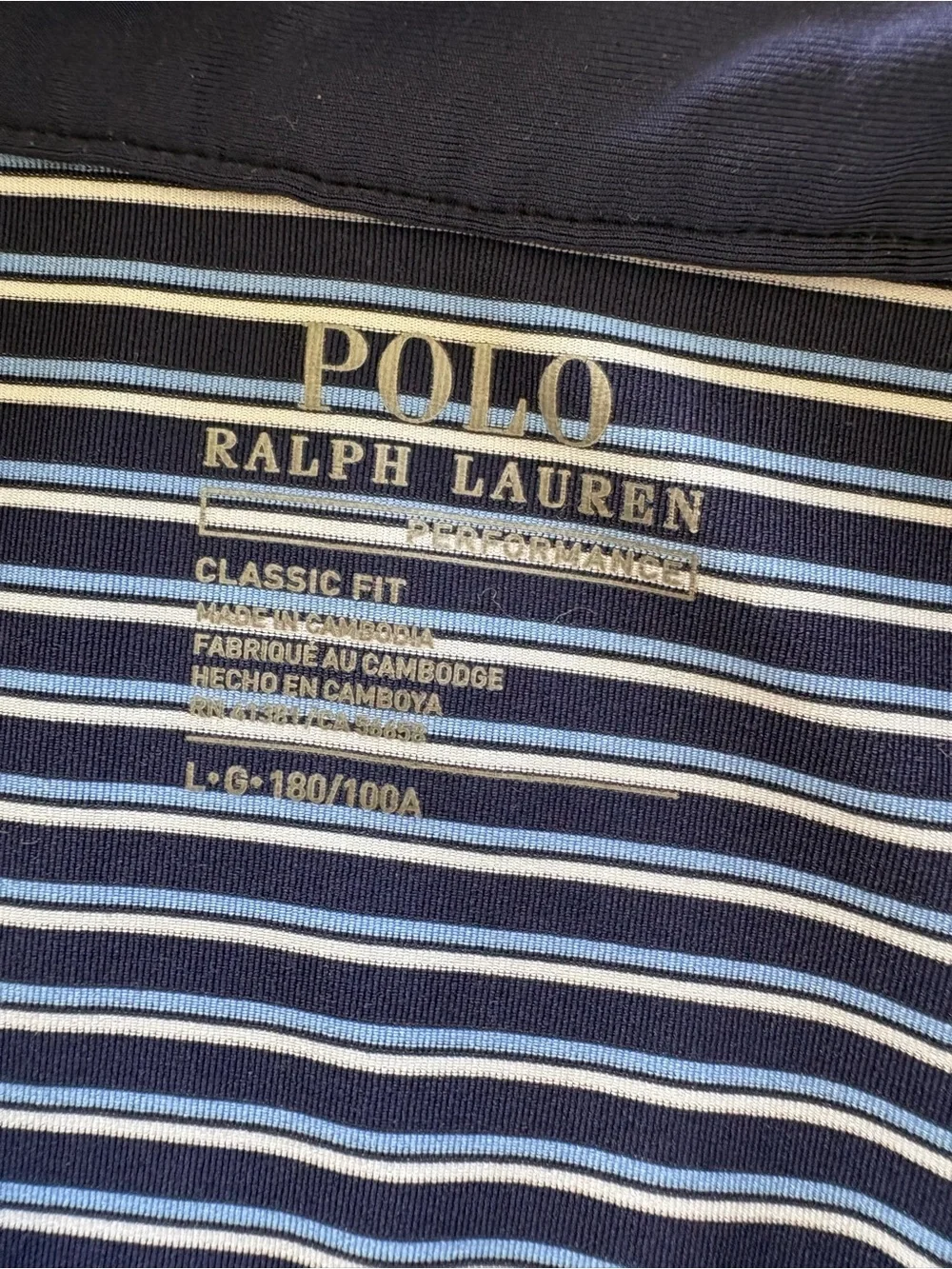 Polo by Ralph Lauren Navy and White Striped Polo